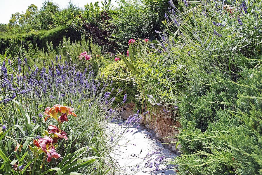 Progettazione Giardini Hotel e per spazi pubblici - foto 6.