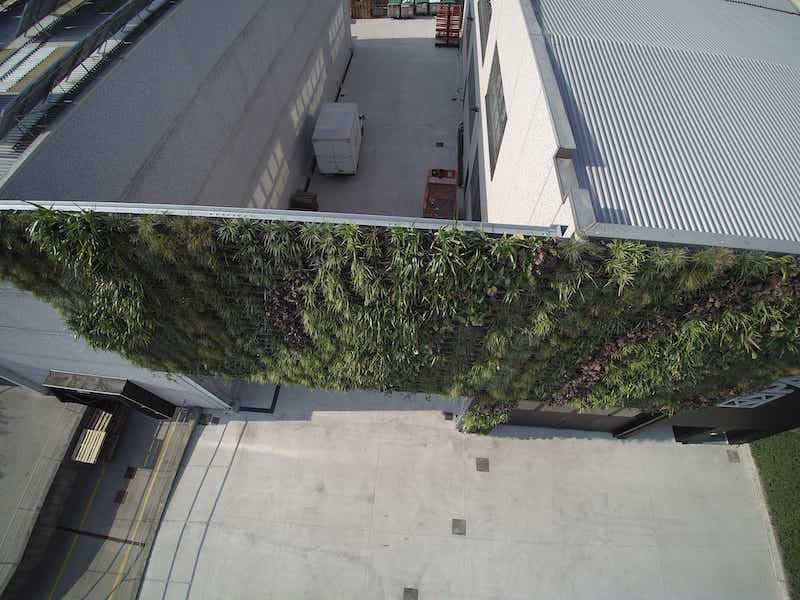 Large vertical gardens, outdoor vertical garden for Panzeri Carlo srl - photo 2.