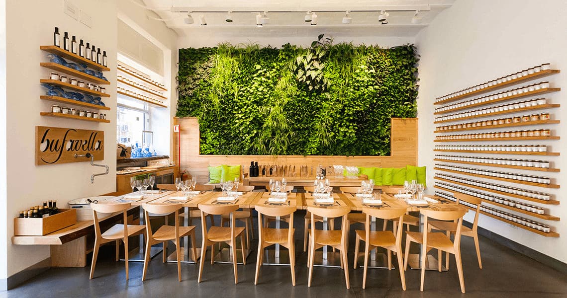 Characteristics and curiosity about vertical gardens