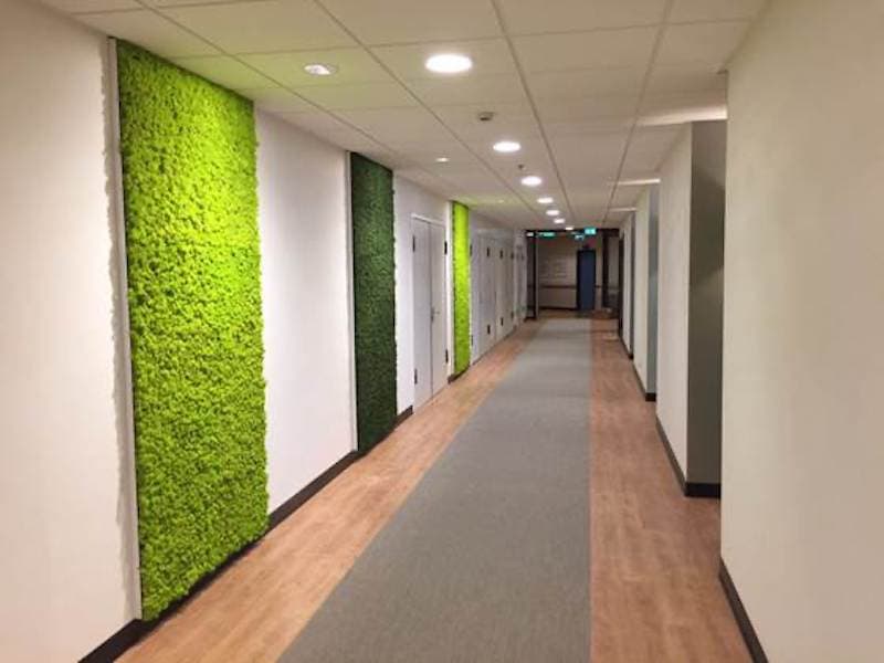 Moss Design - UMC Utrecht