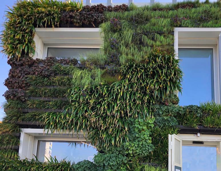 Progettazione Giardini Moderni - Un giardino verticale in Sicilia