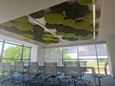 Soluzioni creative per decorare i soffitti con il verde stabilizzato MOSSwall® Acoustic