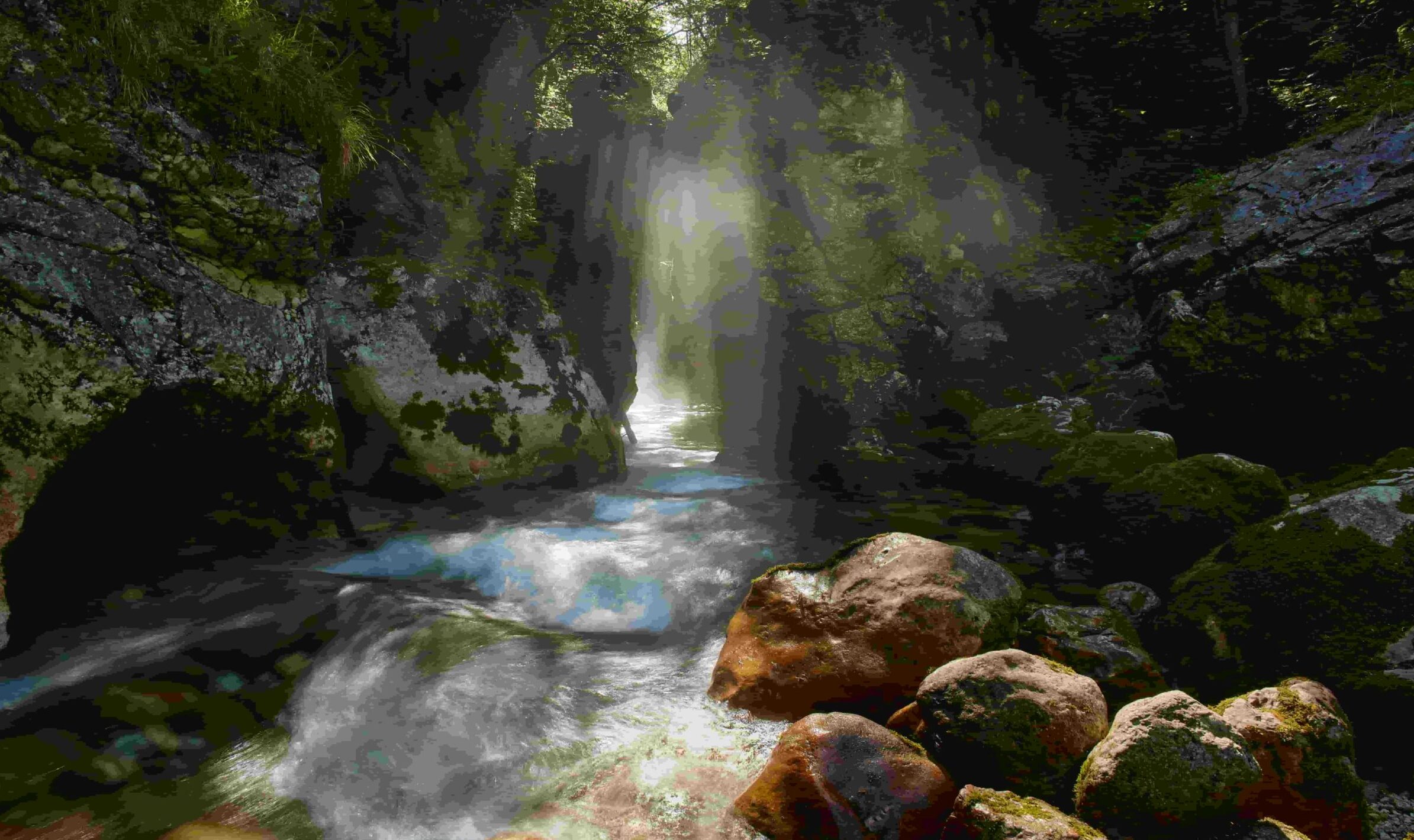 immagine di una cascata in mezzo al bosco